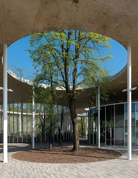 Architektūra ir viešosios erdvės